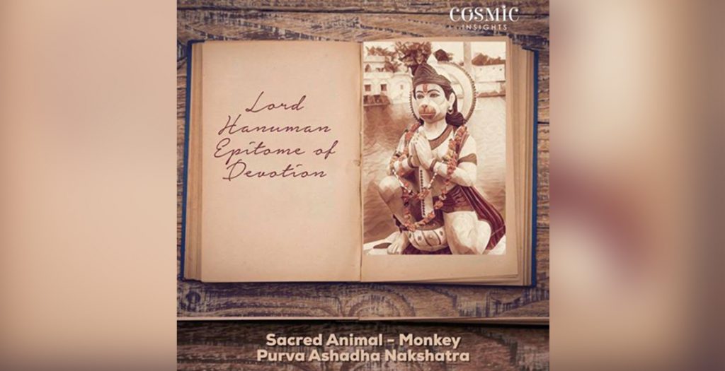 Monkey is the sacred Animal of Purva Ashadha Nakshatra. - Cosmic Insights